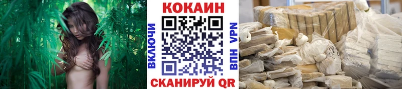 COCAIN Эквадор  Алексин 