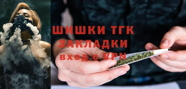 сатива Абинск