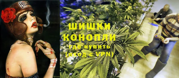 сатива Абинск